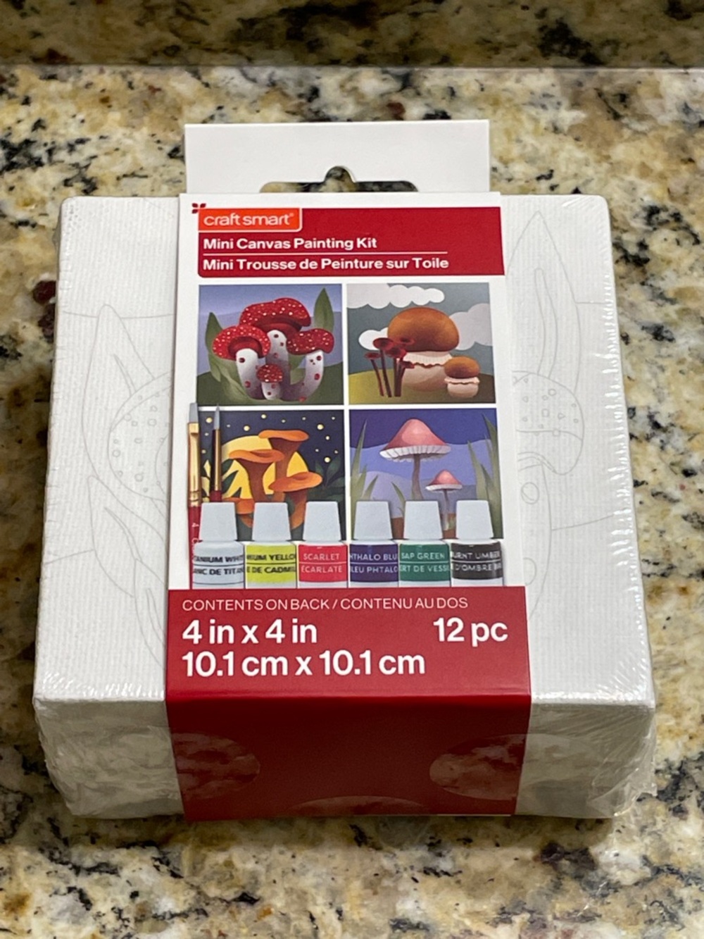 Mini Canvas Painting Kit - Red and Orange Mushroom Designs